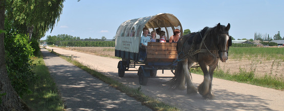 huifkar-zonder-koetsier-huren-huifkarren.nl huifkar-zonder-koetsier-huren-huifkarren.nl